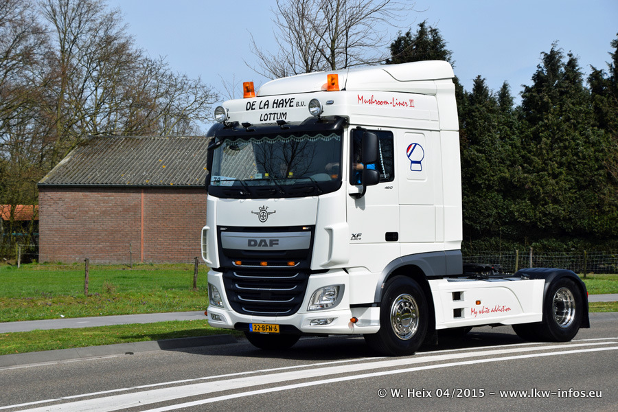 Truckrun Horst-20150412-Teil-2-0291.jpg
